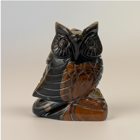 Tiger Eye Owl