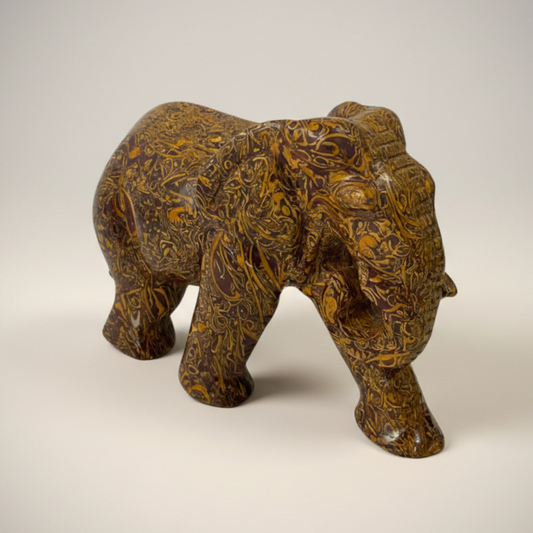 Mariam Jasper Eelephant