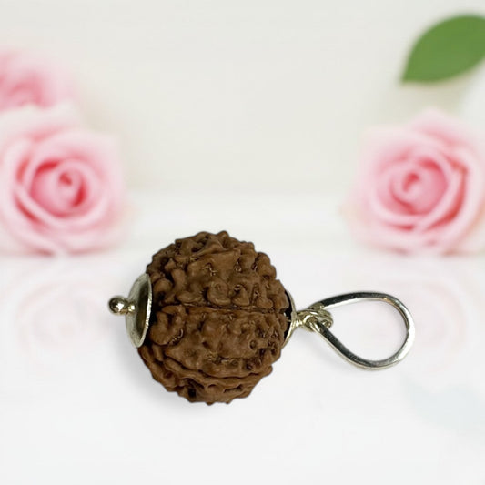 7 Mukhi Rudraksha Pendant  AA Premium Quality
