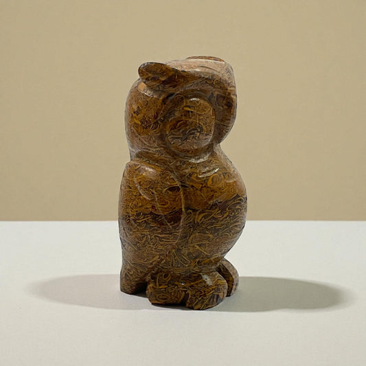 Mariyam jasper Owl