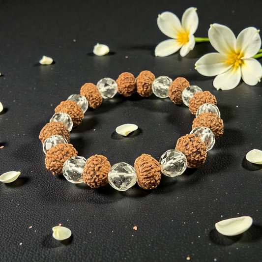 8 Mukhi + Sphatik Rudraksha Bracelet