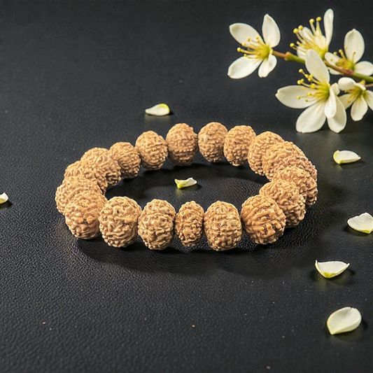 10 Mukhi Rudraksha Bracelet