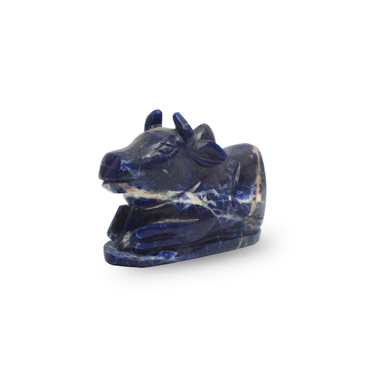 Sodalite Nandi - ( 123 Gram )