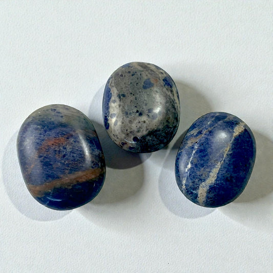 Sodalite Palm