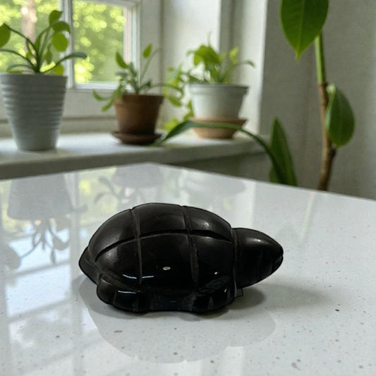 Black obsidian Turtle