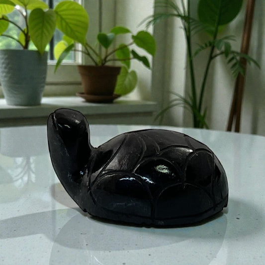 Black Agate Turtle