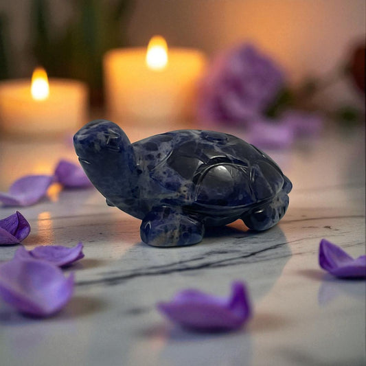 Sodalite Turtle