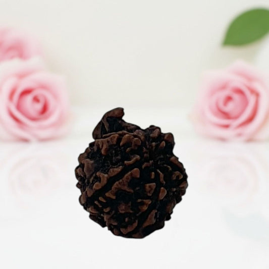 Natural Ganesh Rudraksha Beads – A Premium Quality