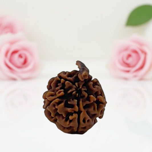 Natural Ganesh Rudraksha Beads – AA Premium Quality