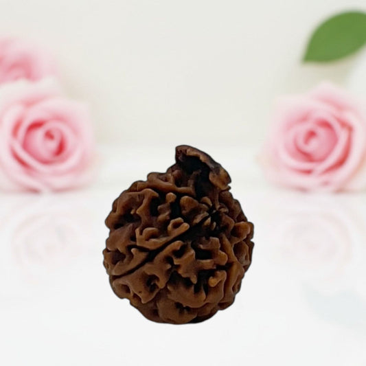 Natural Ganesh Rudraksha Beads – AA Premium Quality