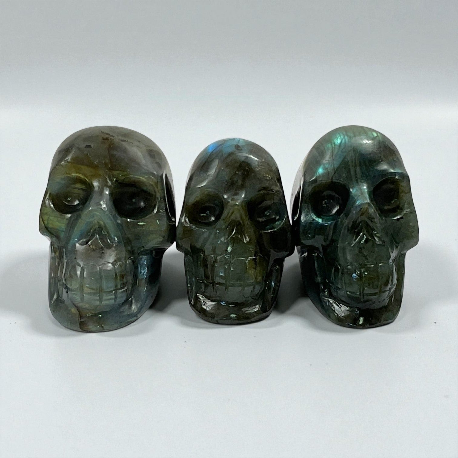 Skull