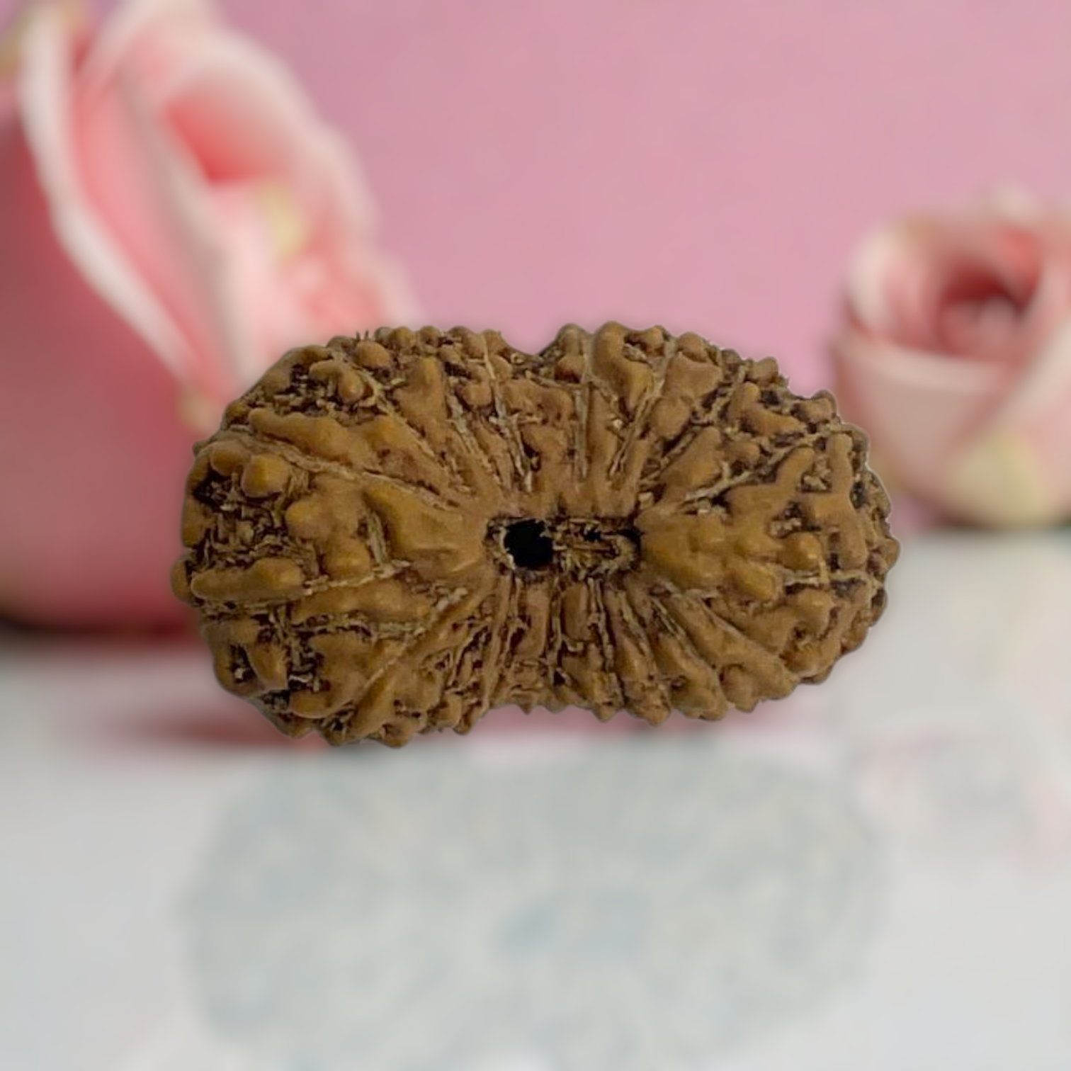 18 Mukhi Rudraksha