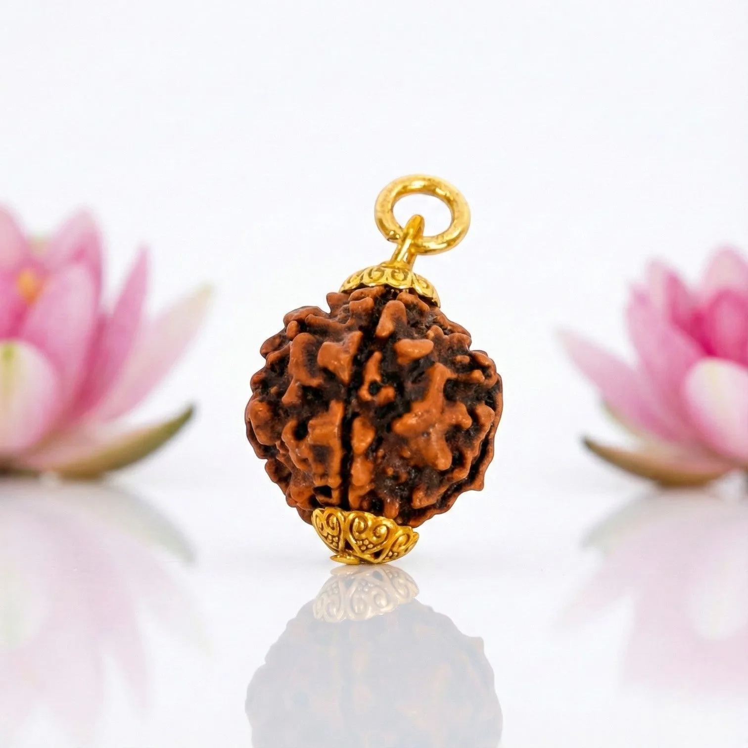 Natural 5 Mukhi Rudraksha Pendant – Gold Plated