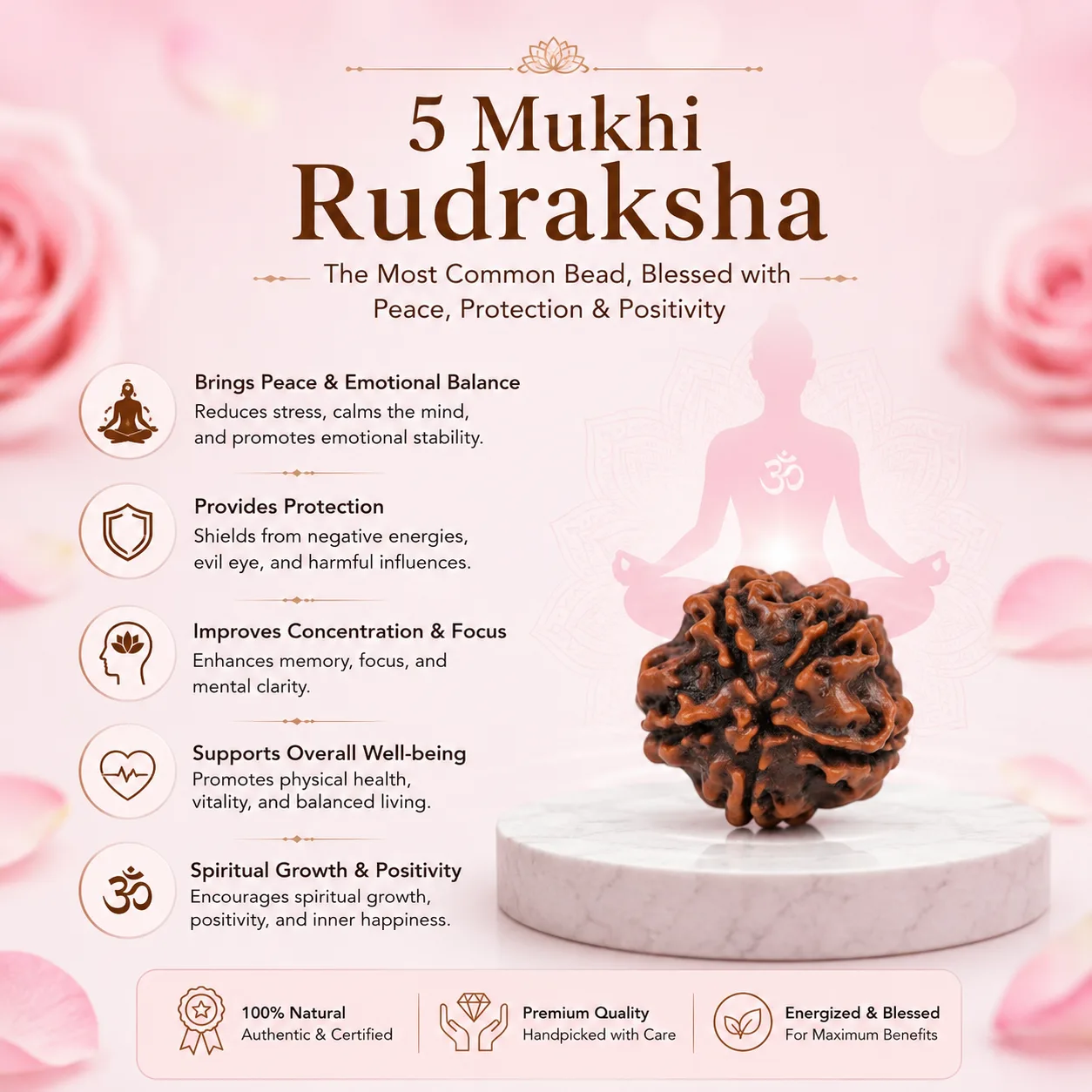 Natural 5 Mukhi Rudraksha Pendant – Gold Plated