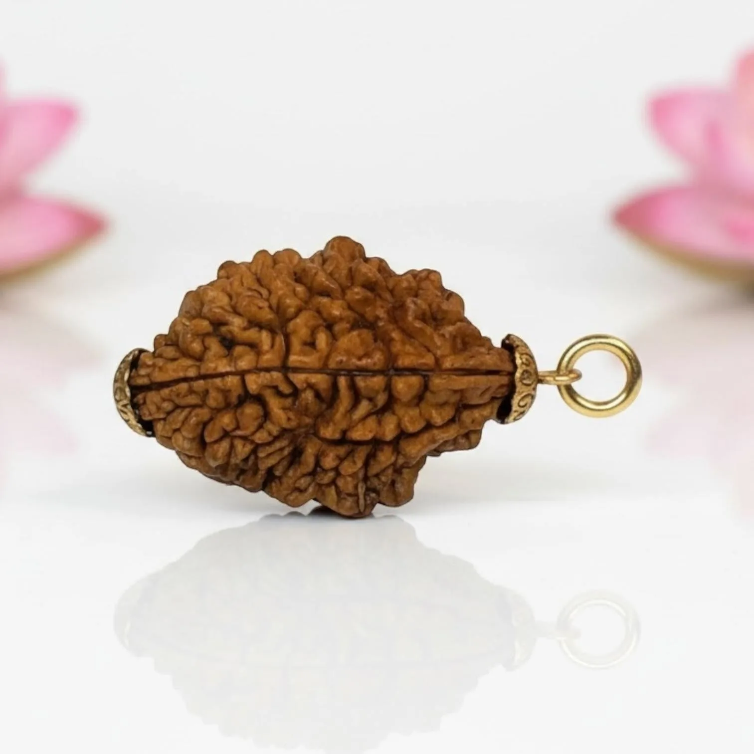  Natural 2 Mukhi Rudraksha Pendant-Gold Plated
