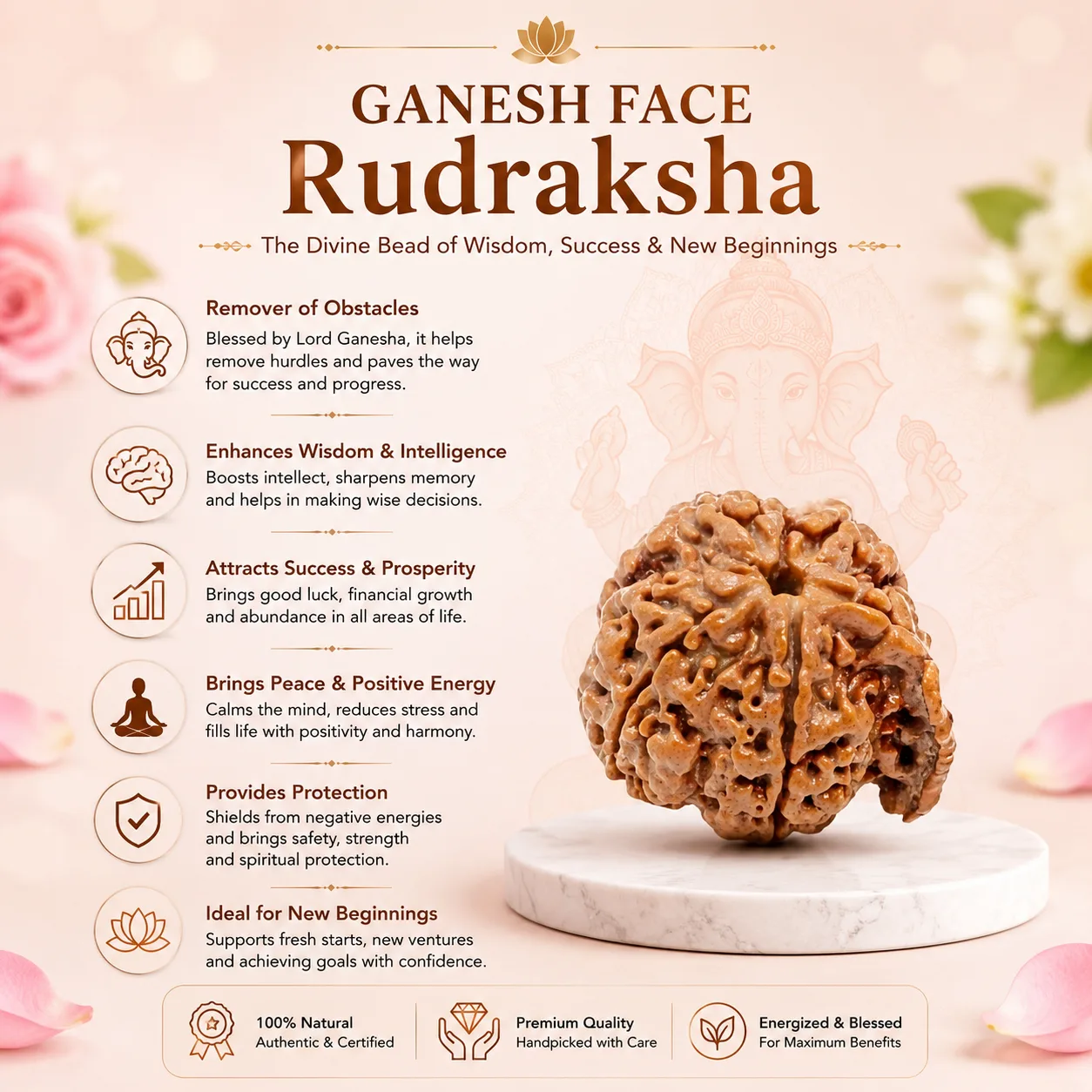 Natural Ganesh Rudraksha Silver Plated Pendant