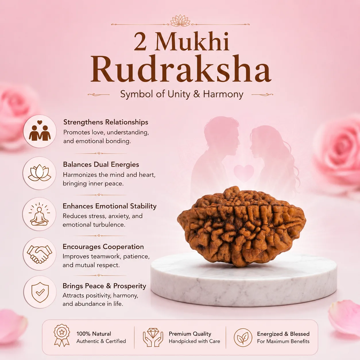  Natural 2 Mukhi Rudraksha Silver Plated Pendant
