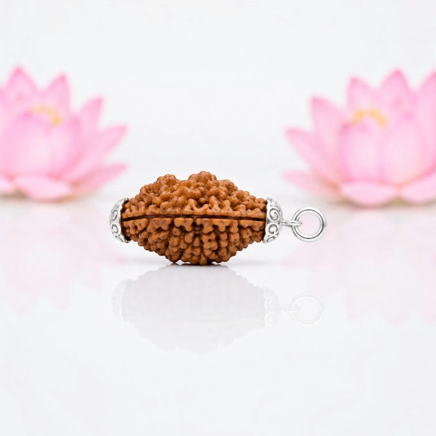  Natural 2 Mukhi Rudraksha Silver Plated Pendant