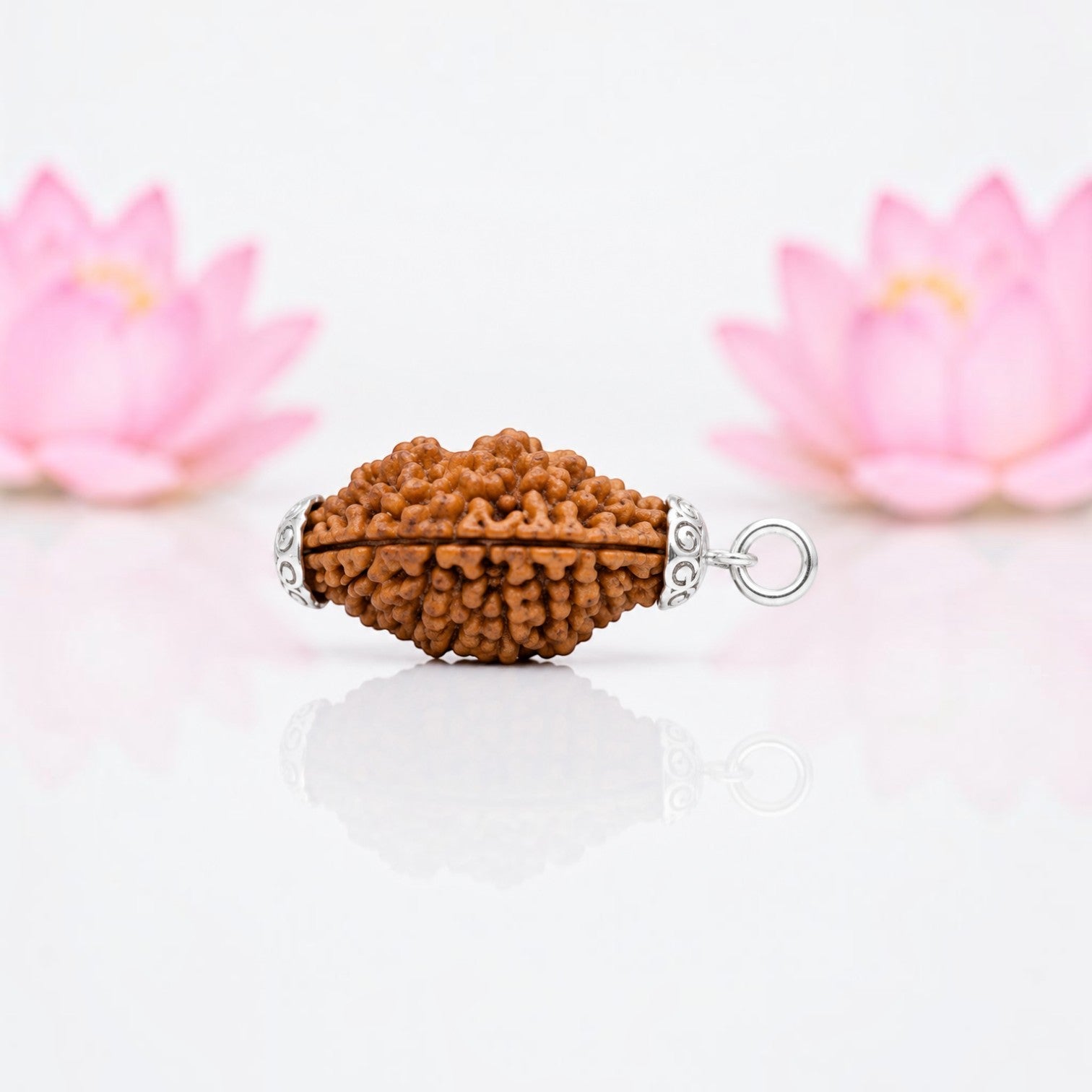  Natural 2 Mukhi Rudraksha Silver Plated Pendant