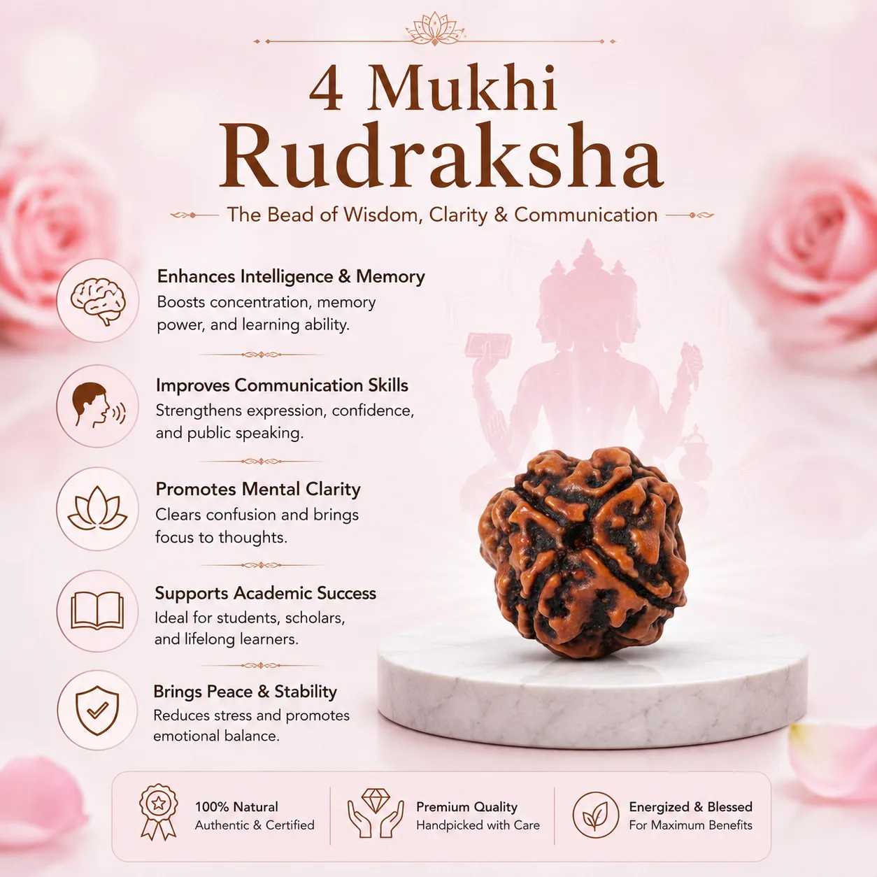 Natural 4 Mukhi Rudraksha Beads