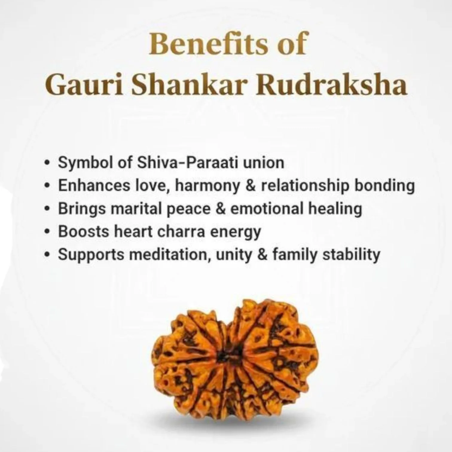 Gauri Shankar Rudraksha