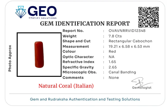 Natural Coral (Italian) - 7.8 Carat