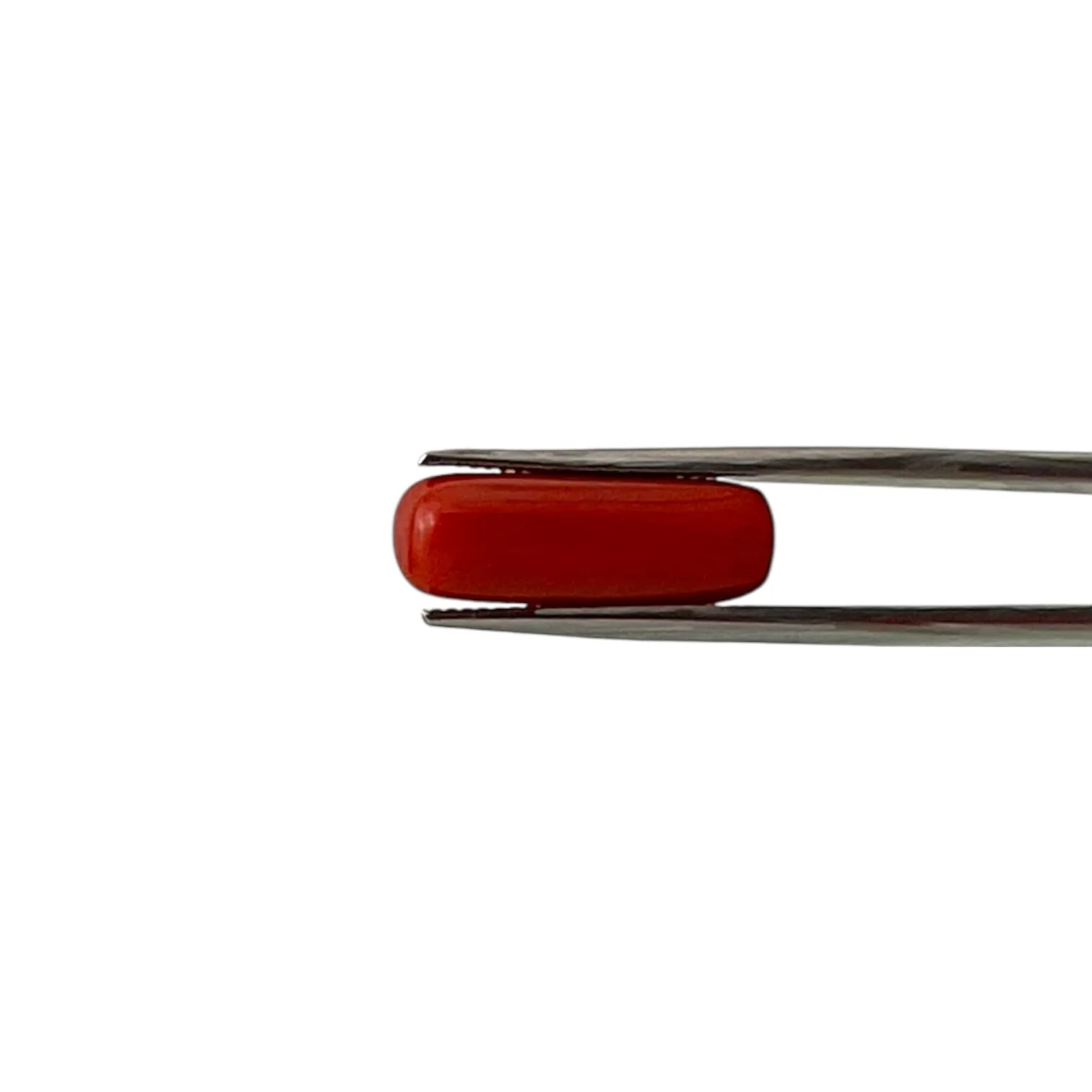 Natural Coral (Italian) - 7.1 Carat