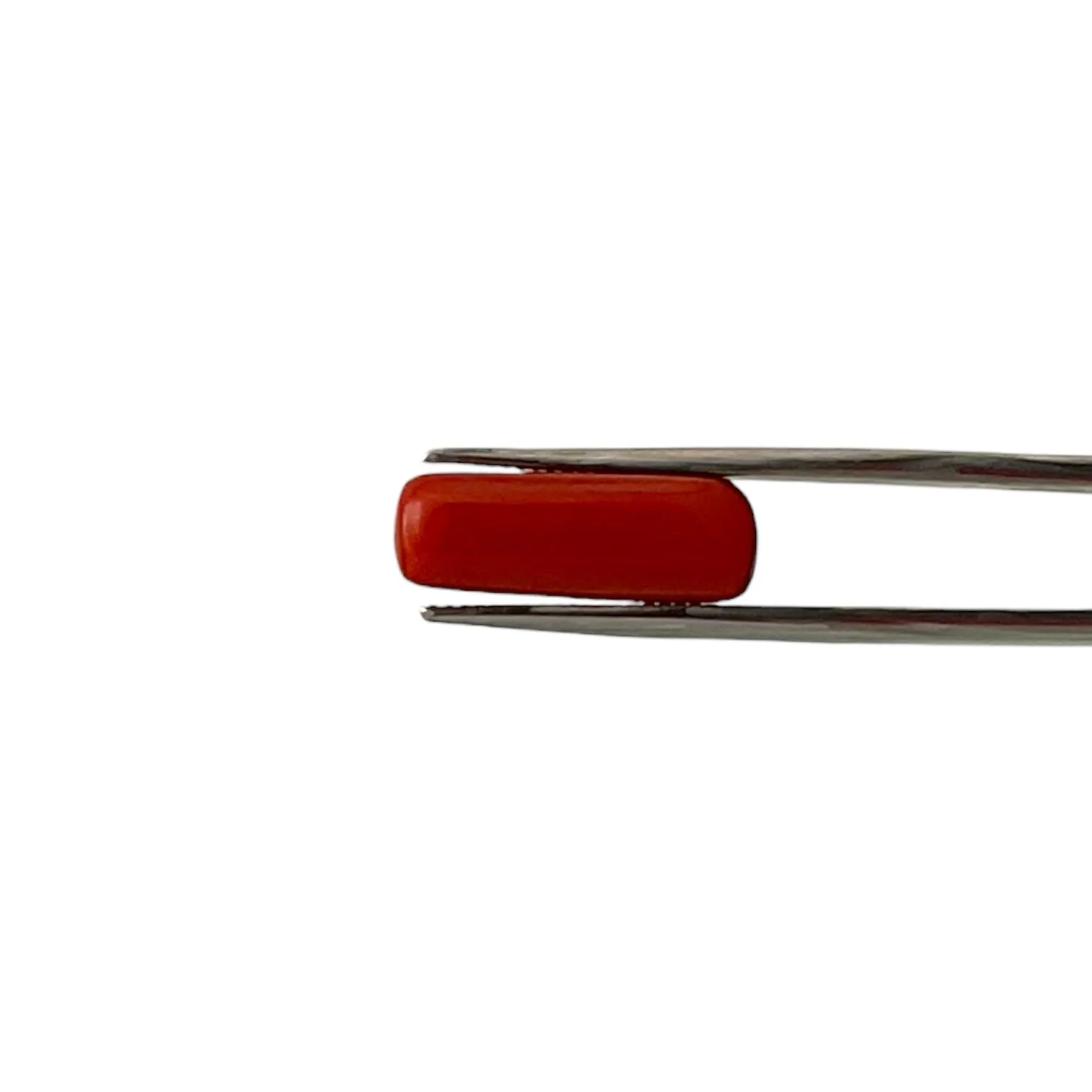 Natural Coral (Italian) - 7.8 Carat