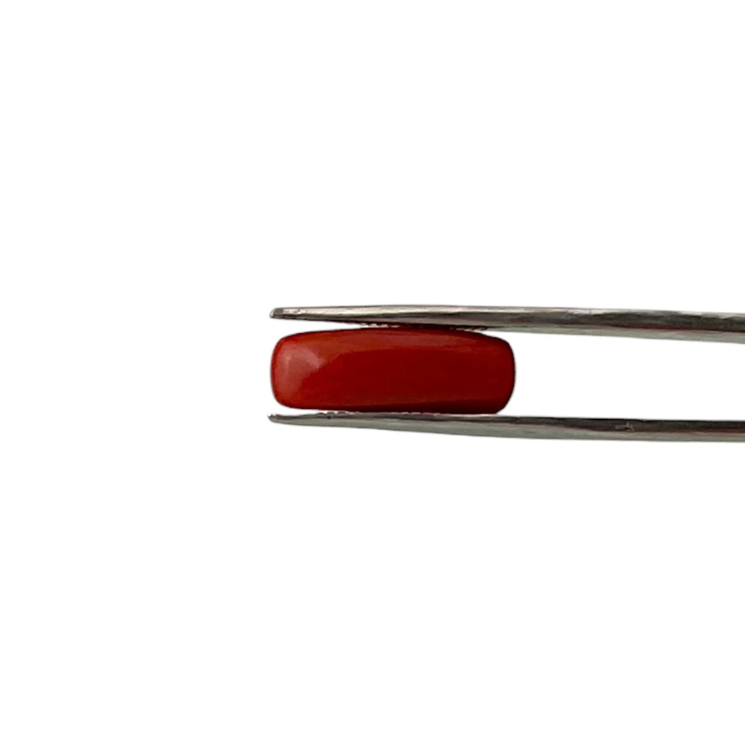 Natural Coral (Italian) - 7.1 Carat