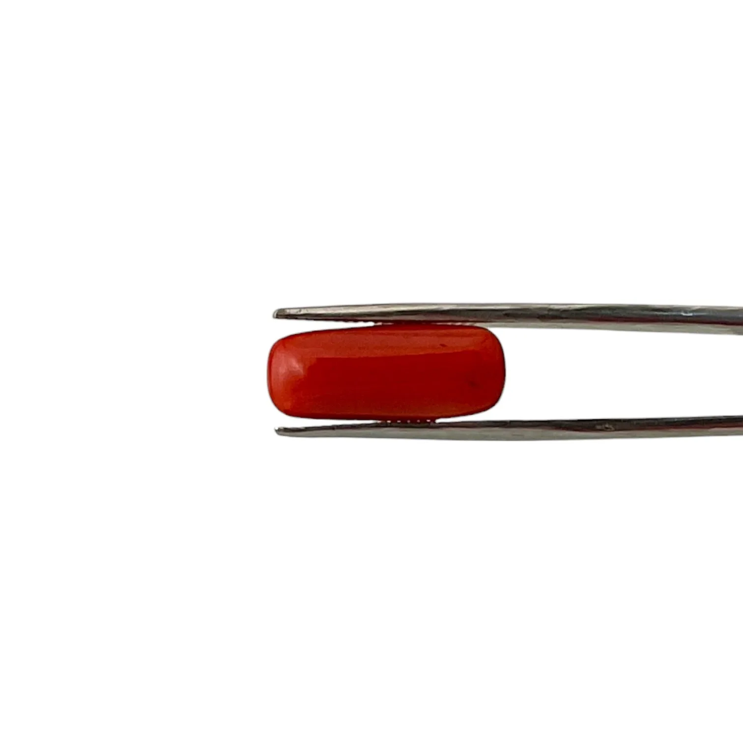 Natural Coral (Italian) - 7.4 Carat