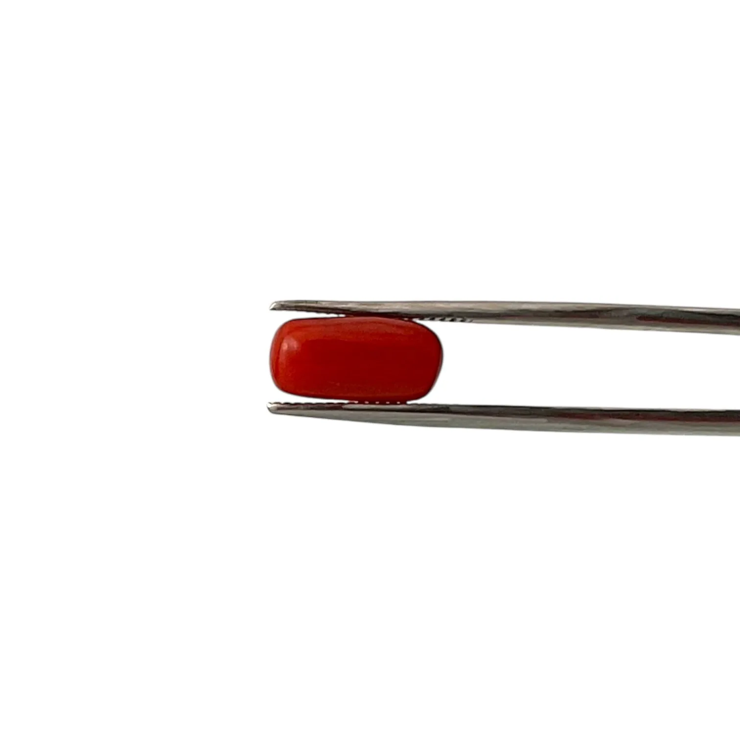 Natural Coral (Italian) - 4.5 Carat