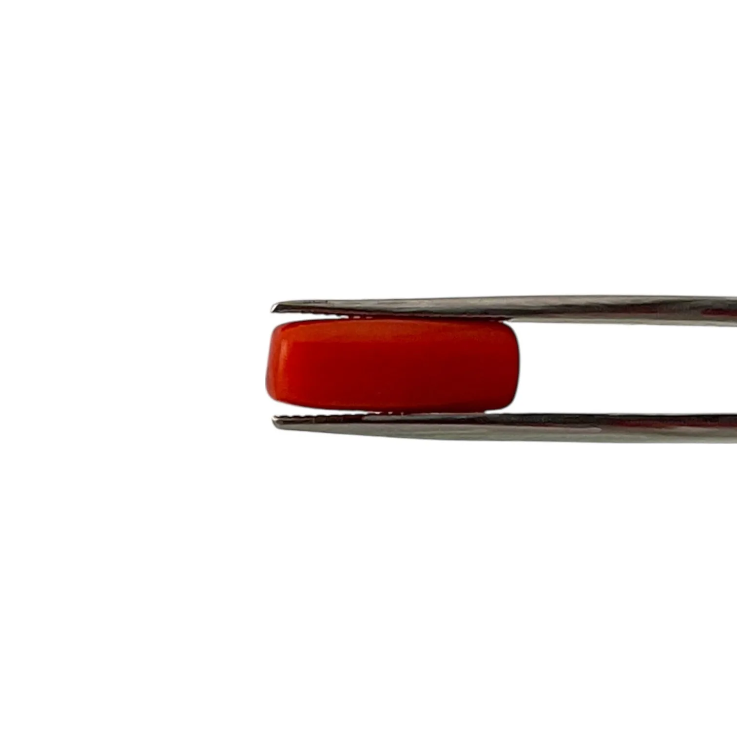 Natural Coral (Italian) - 5.2 Carat