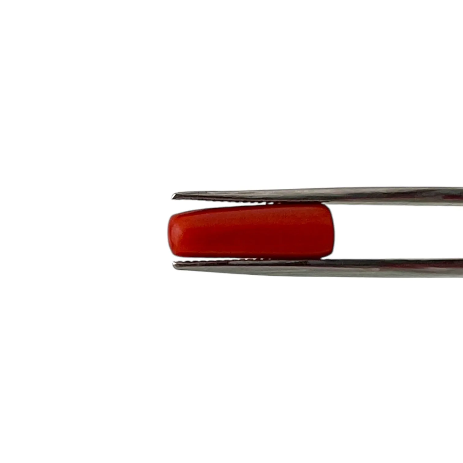 Natural Coral (Italian) - 5.1 Carat