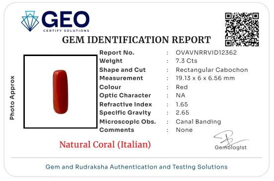 Natural Coral (Italian) - 7.3 Carat