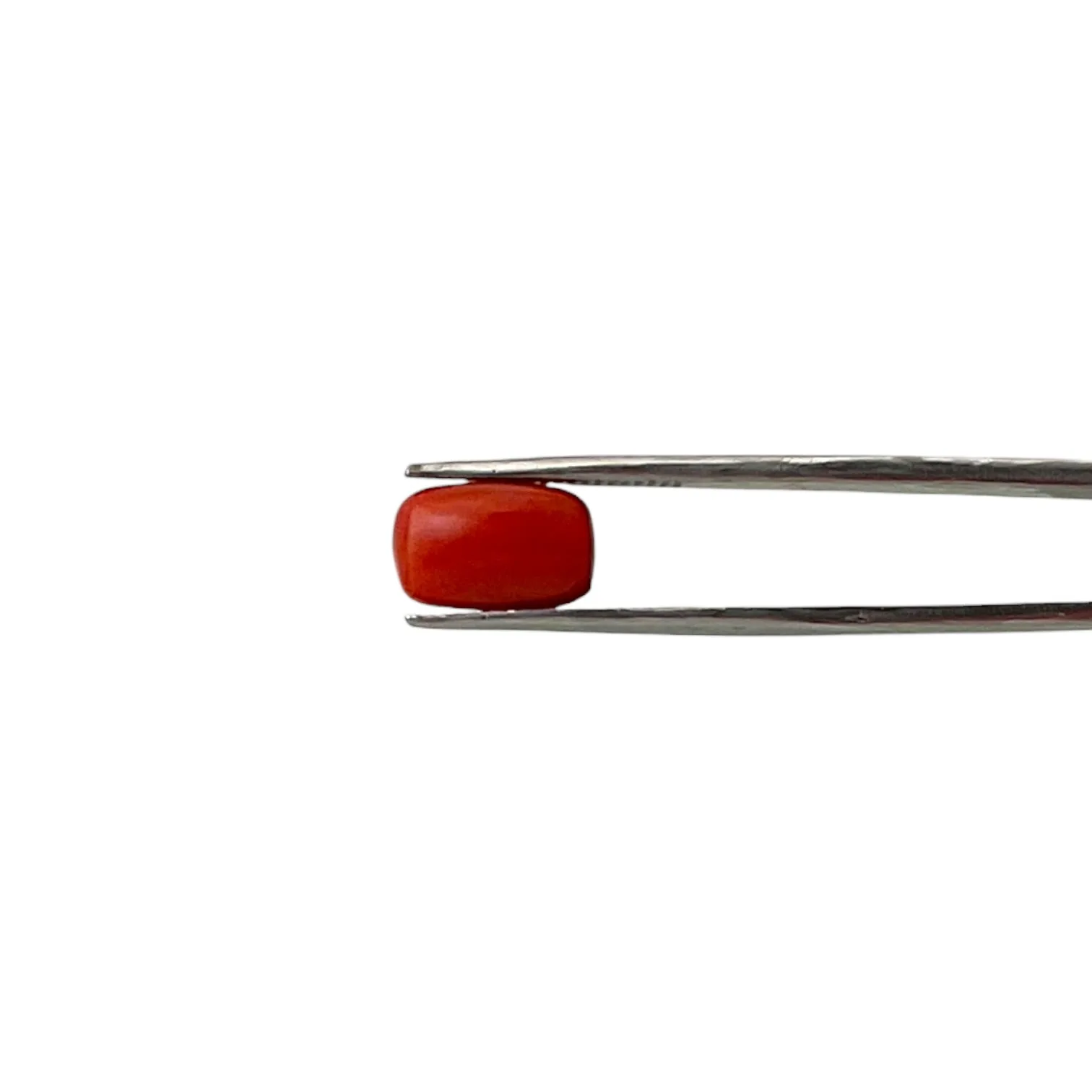 Natural Coral (Italian) - 5.3 Carat