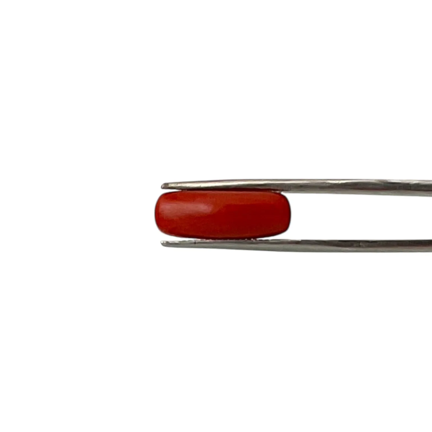 Natural Coral (Italian) - 7.2 Carat