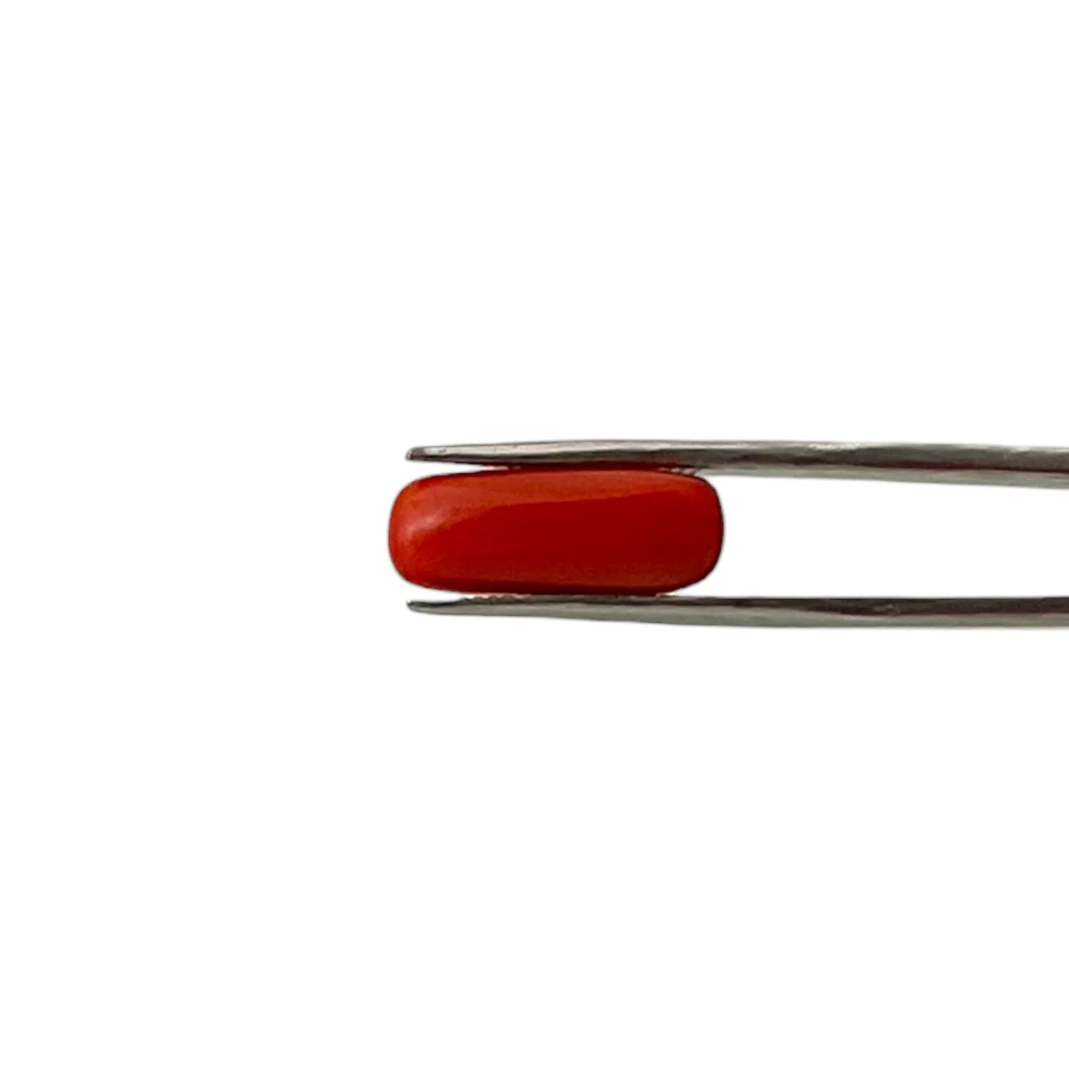 Natural Coral (Italian) - 7.2 Carat