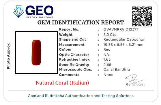 Natural Coral (Italian) - 8.2 Carat