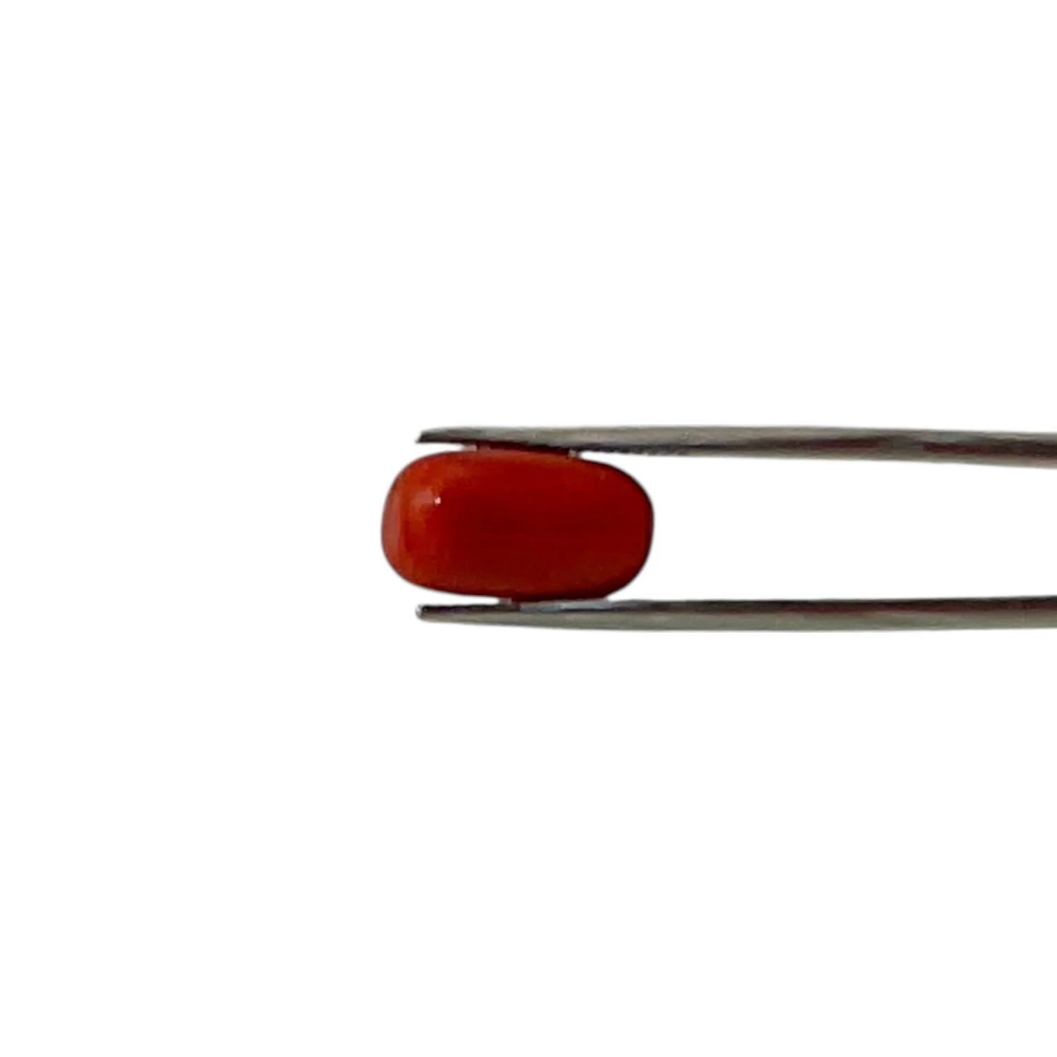 Natural Coral (Italian) - 7.6 Carat