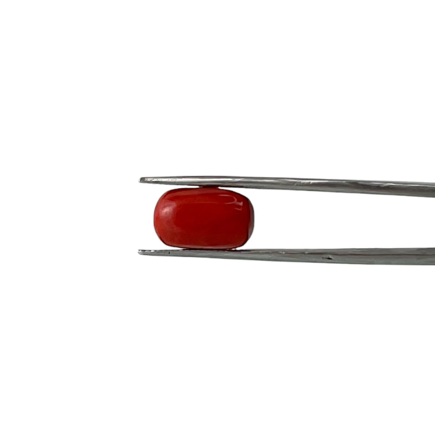 Red Coral (Italian) - 8.41 Carat