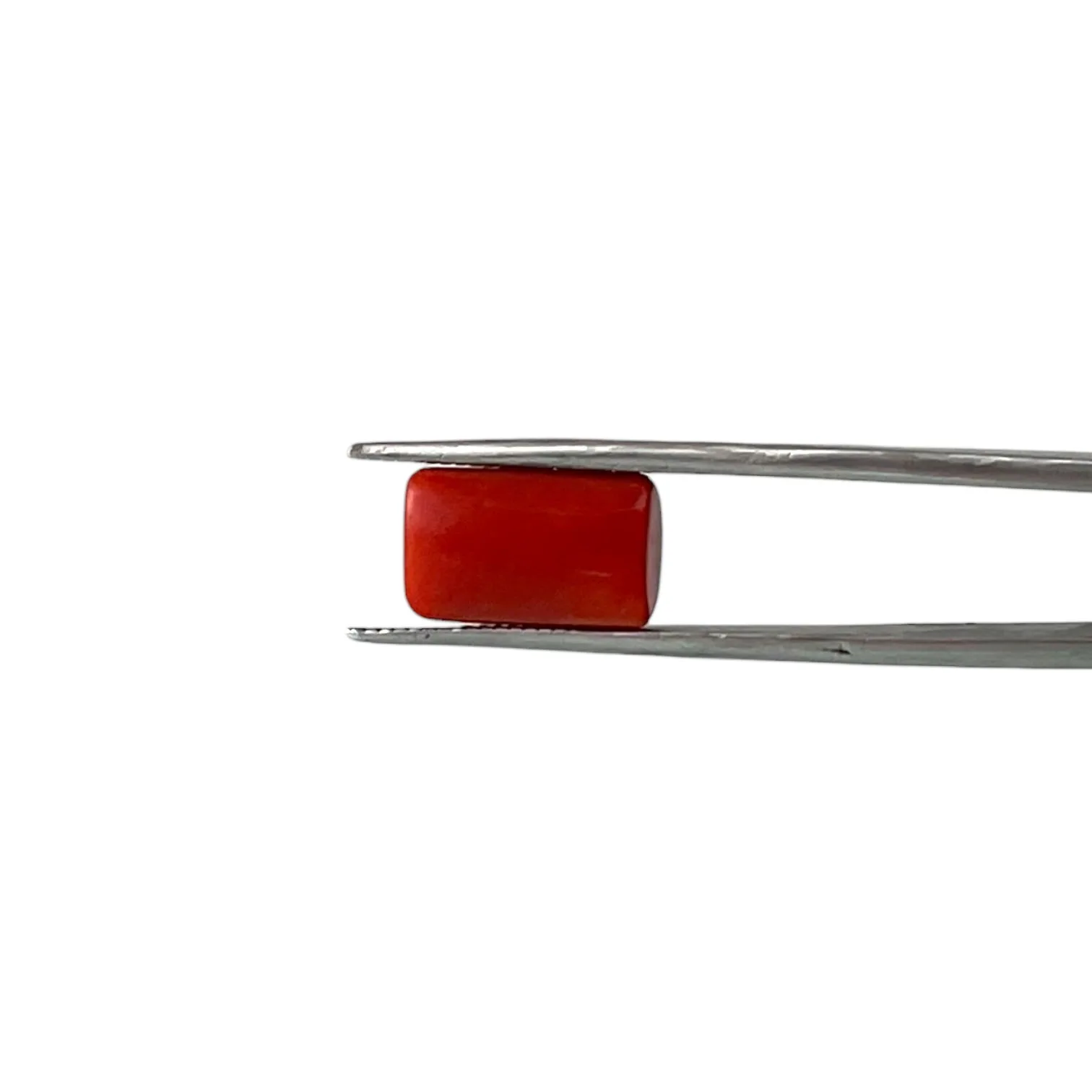 Red Coral (Italian) - 8.21 Carat
