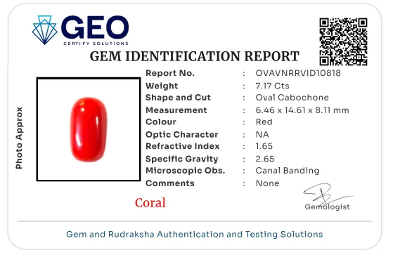 Red Coral (Italian) - 7.17 Carat