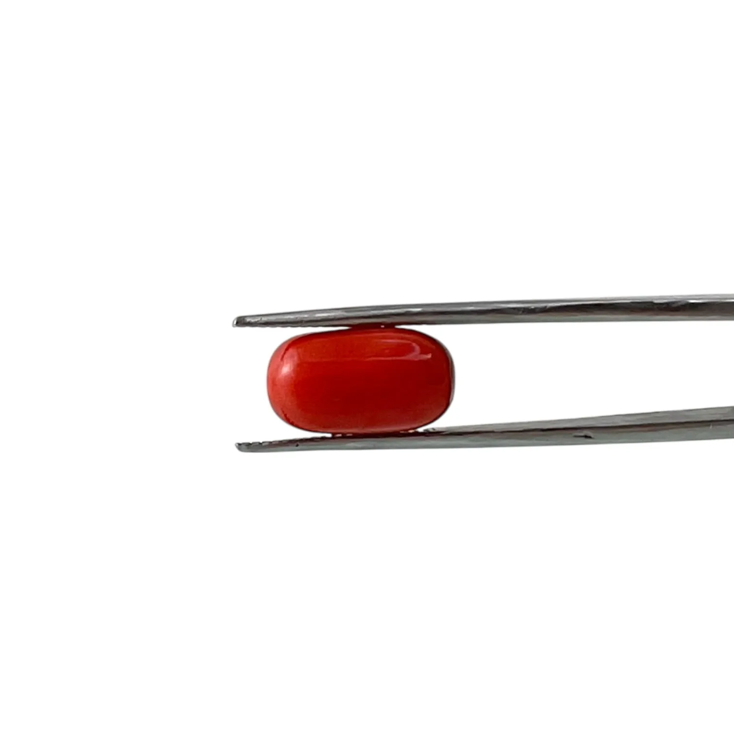 Red Coral (Italian) - 7.17 Carat