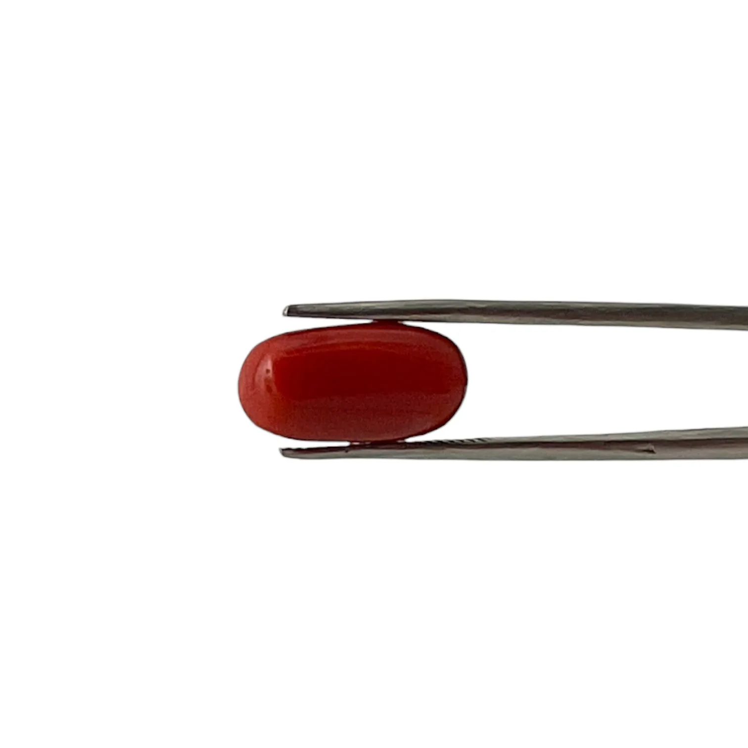 Red Coral (Italian) - 7.4 Carat