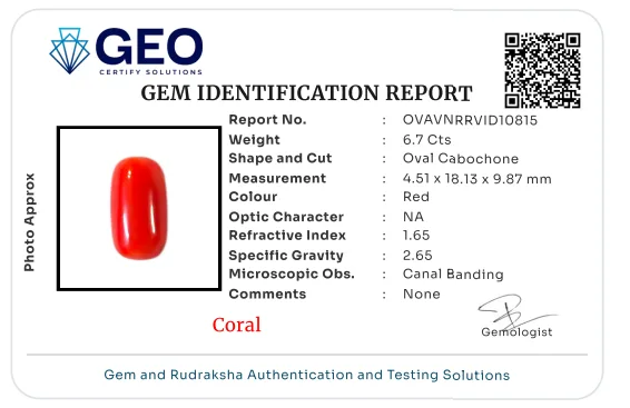 Red Coral (Italian) - 6.7 Carat