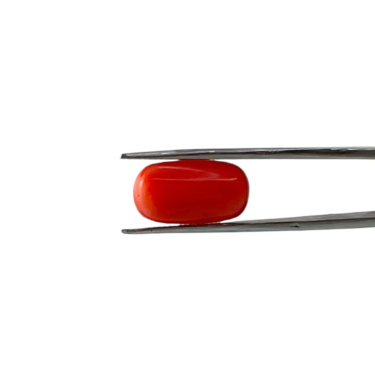 Red Coral (Italian) - 6.7 Carat