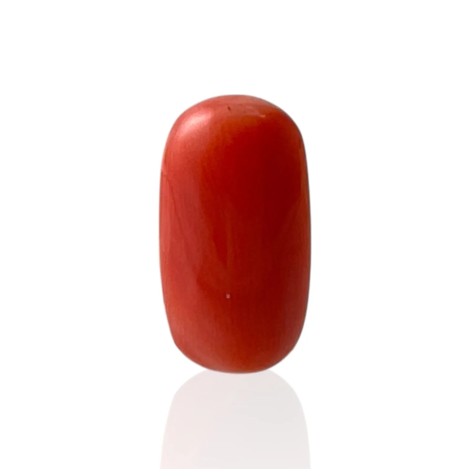 Red Coral (Italian) - 6.7 Carat