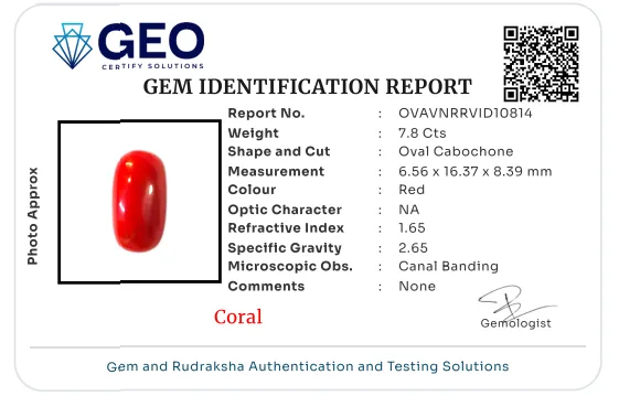 Red Coral (Italian) - 7.8 Carat