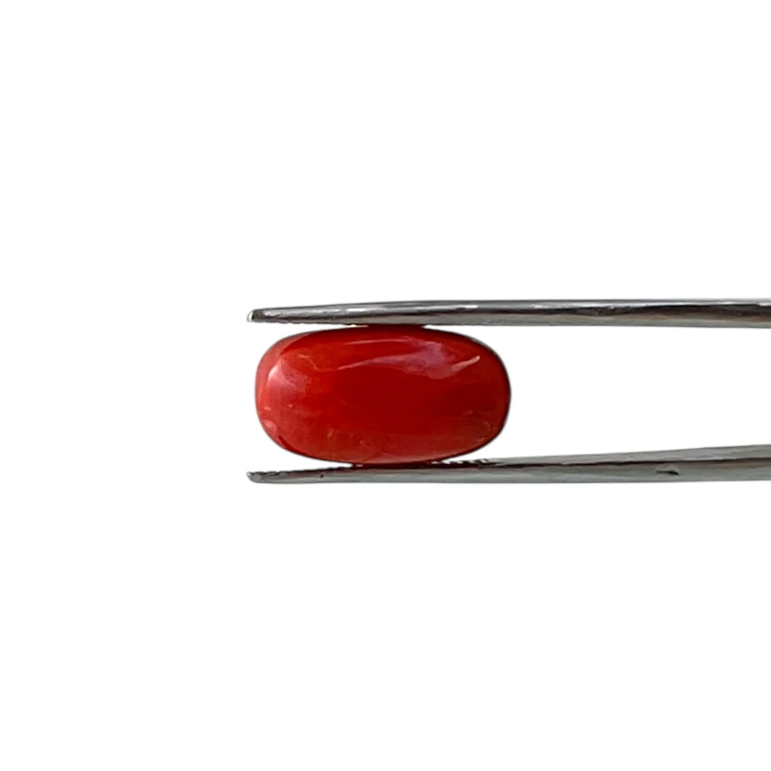 Red Coral (Italian) - 7.8 Carat