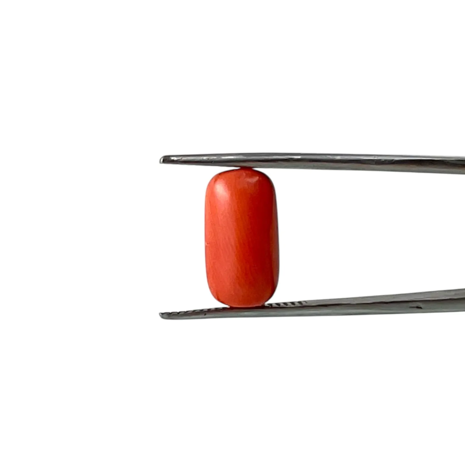 Red Coral (Italian) - 5.38 Carat